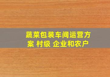 蔬菜包装车间运营方案 村级 企业和农户